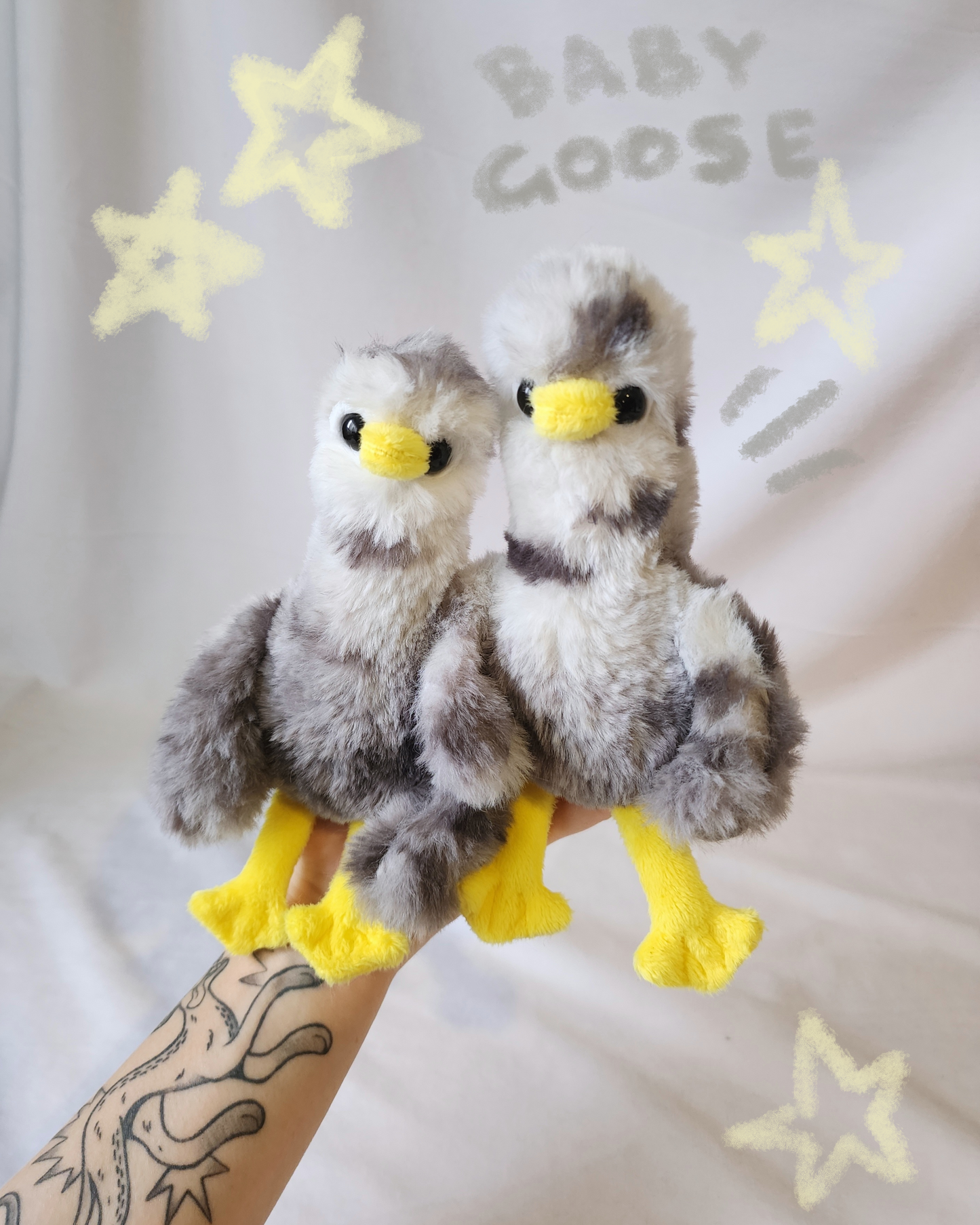 Baby goose