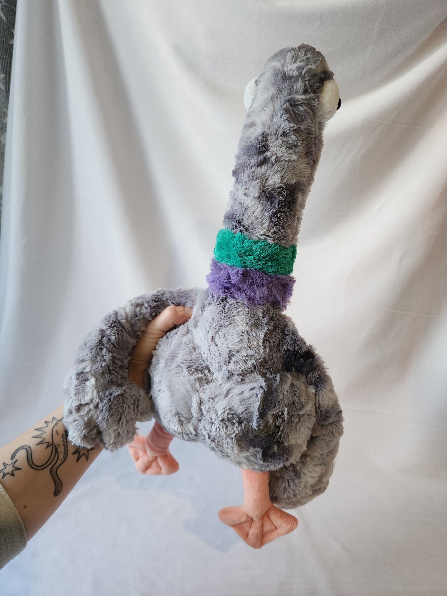 Pigeon