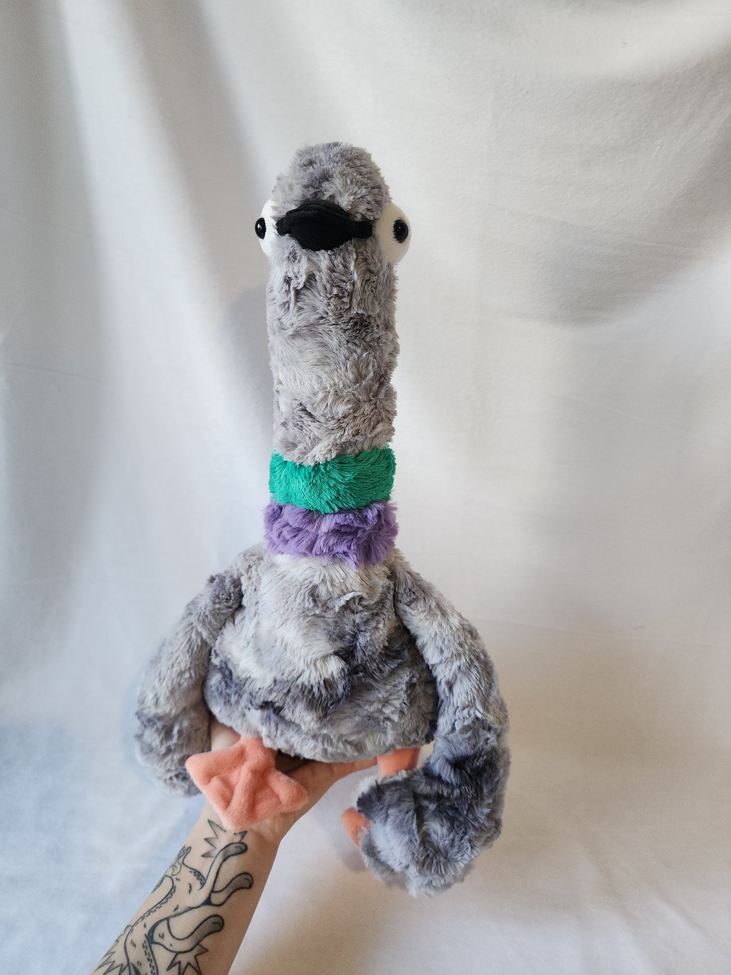 Pigeon