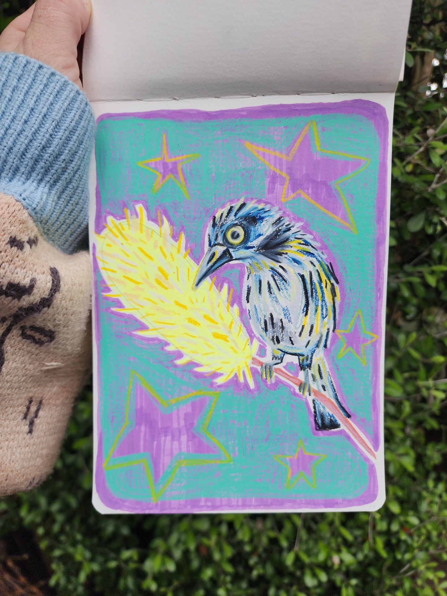 Honeyeater - Original Artwork