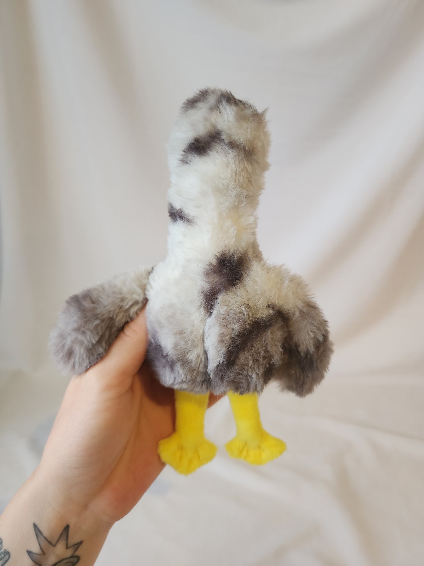 Baby goose