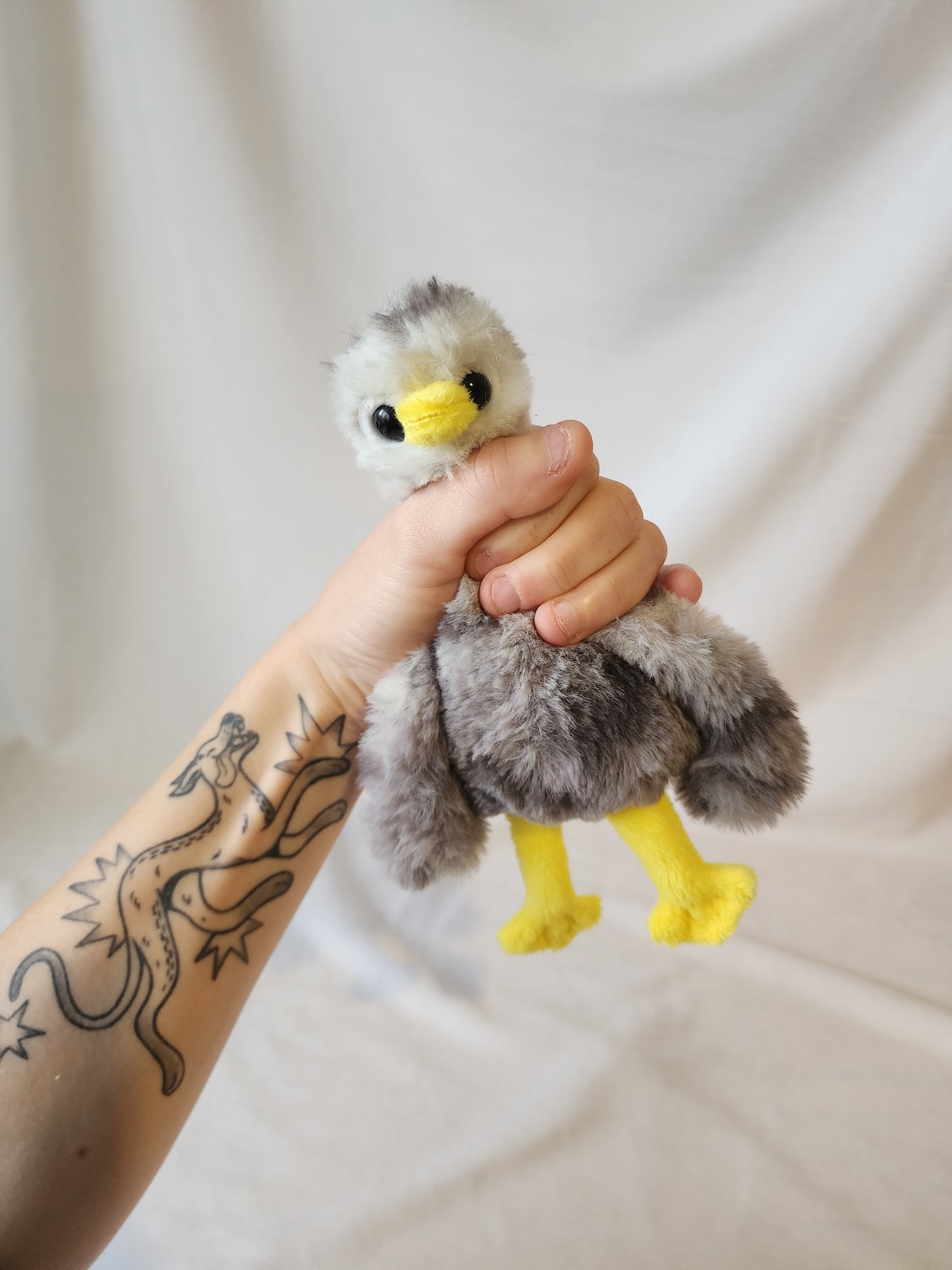 Baby goose