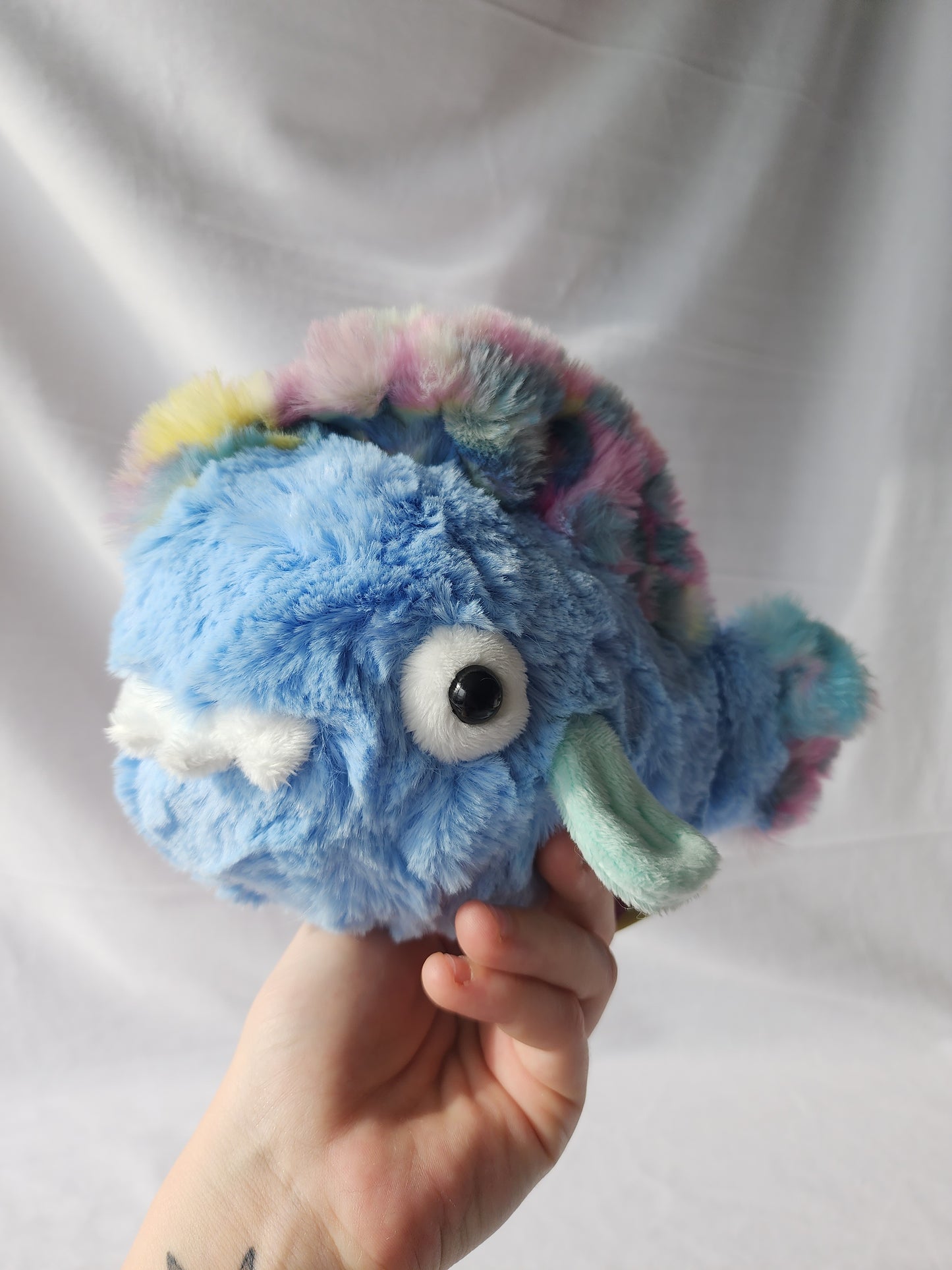 Toothyfish