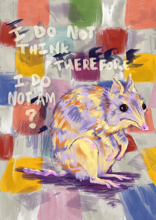 Bandicoot print