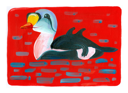 Print pack - big bulk pack of birds