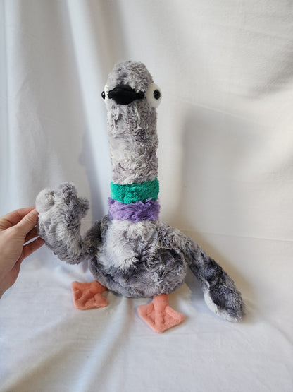 Pigeon