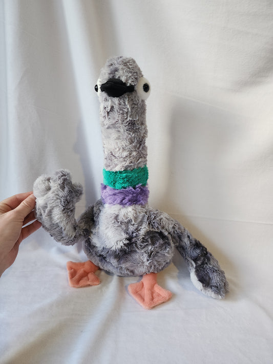 Pigeon