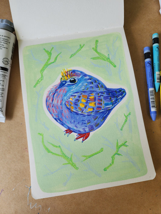 Bronzewing pigeon - Original Artwork