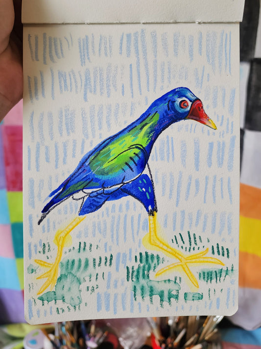 Purple gallinule - Original Artwork