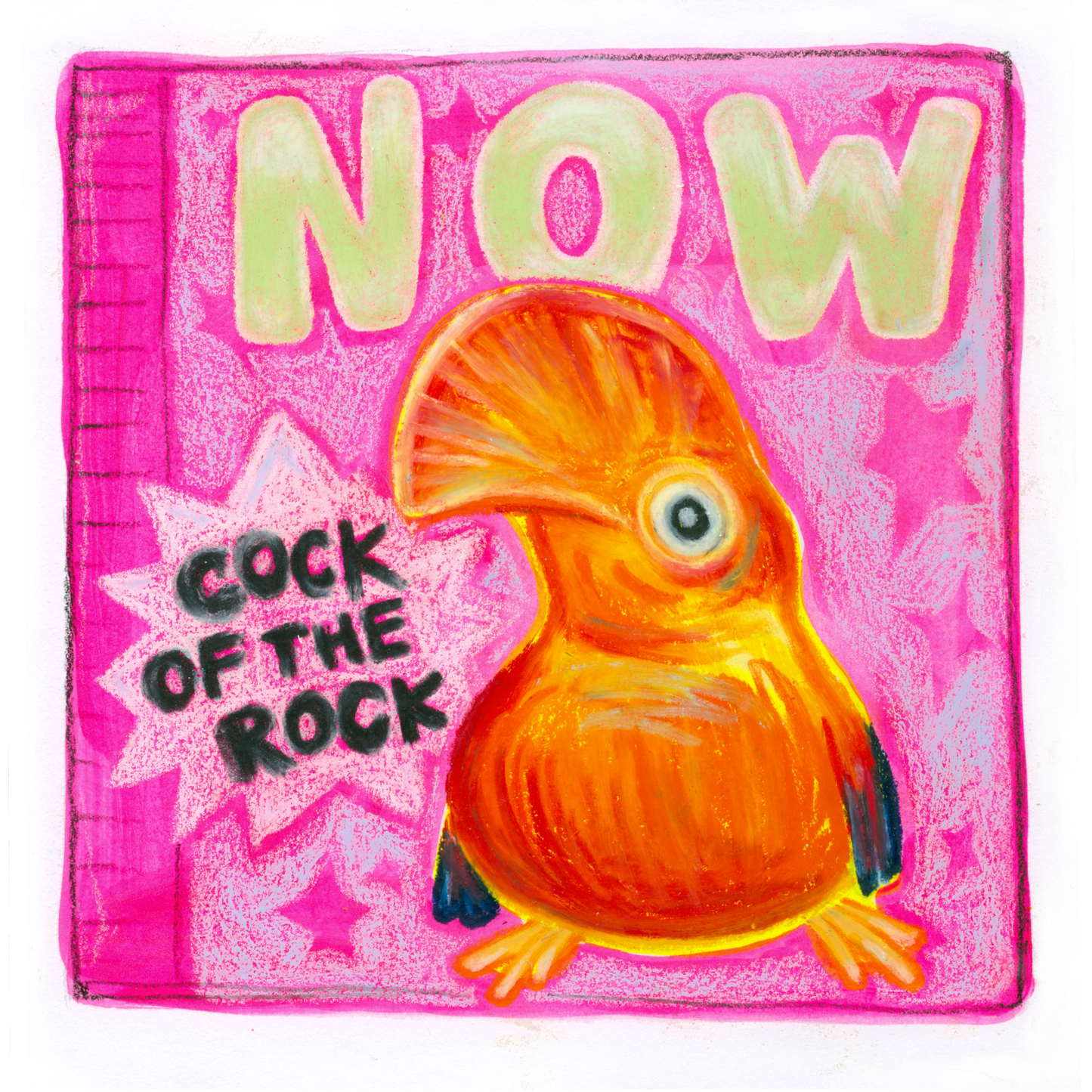 Print pack - big bulk pack of birds