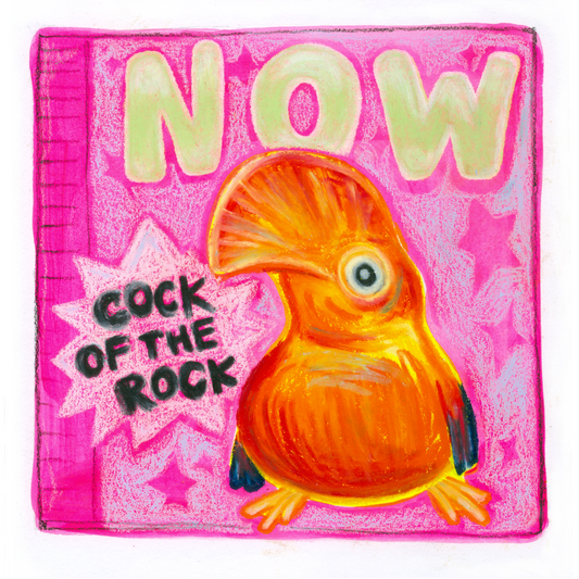 Print pack - big bulk pack of birds