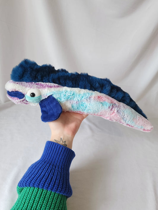 Salty eel