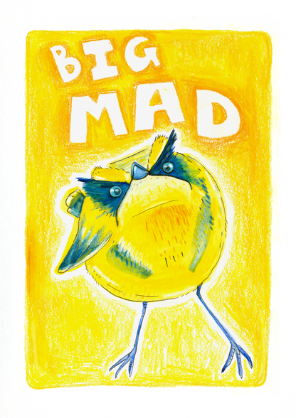 Print pack - big bulk pack of birds