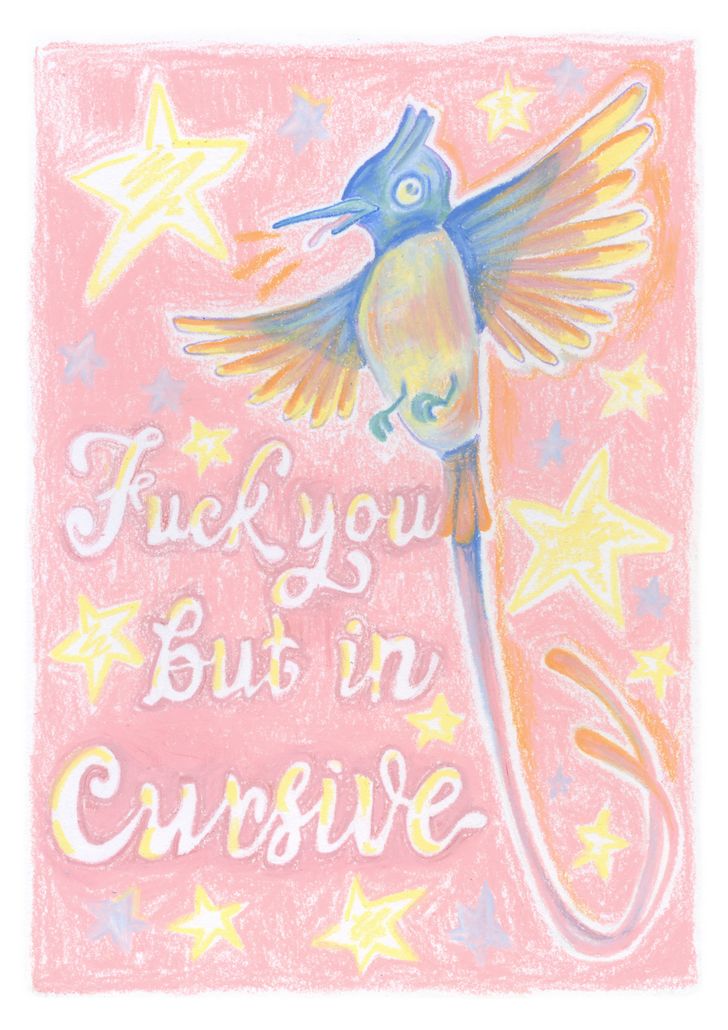 Print pack - big bulk pack of birds